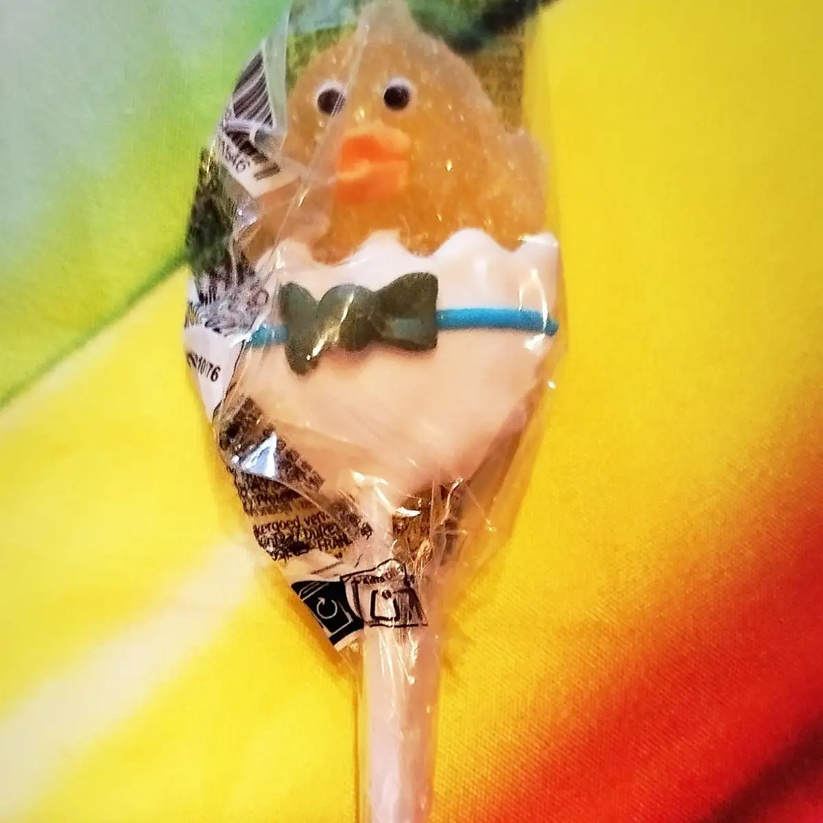 BaBy JellyPop Poussin